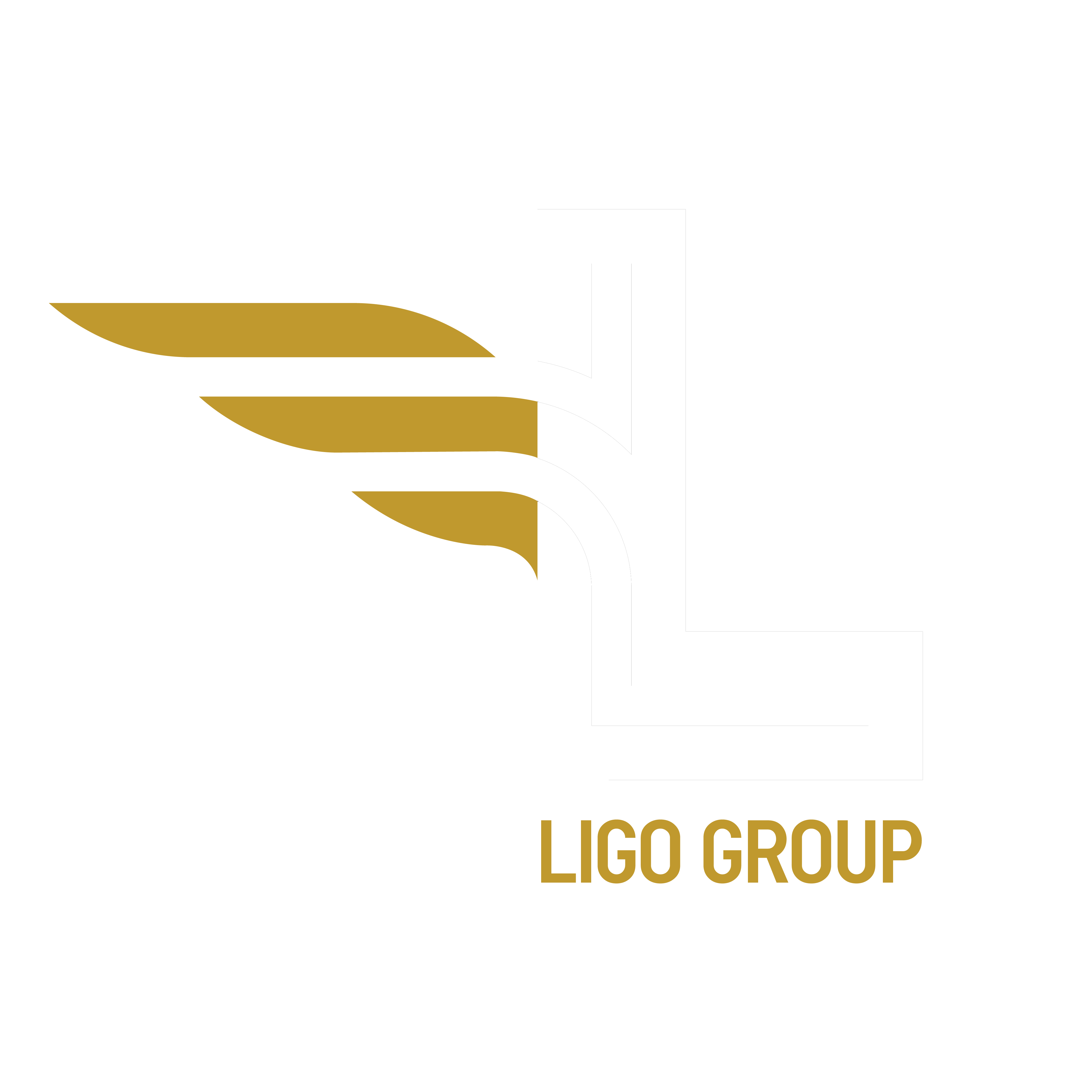 ligo group logo